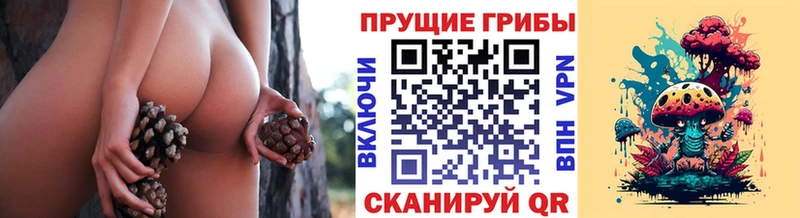 kraken маркетплейс  Правдинск  Галлюциногенные грибы Cubensis 